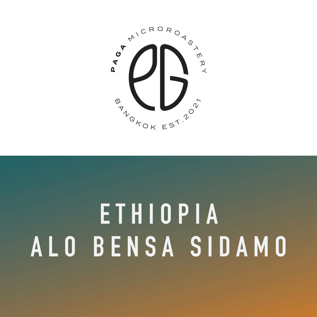 PAGA - Ethiopia Alo Bensa Sidamo