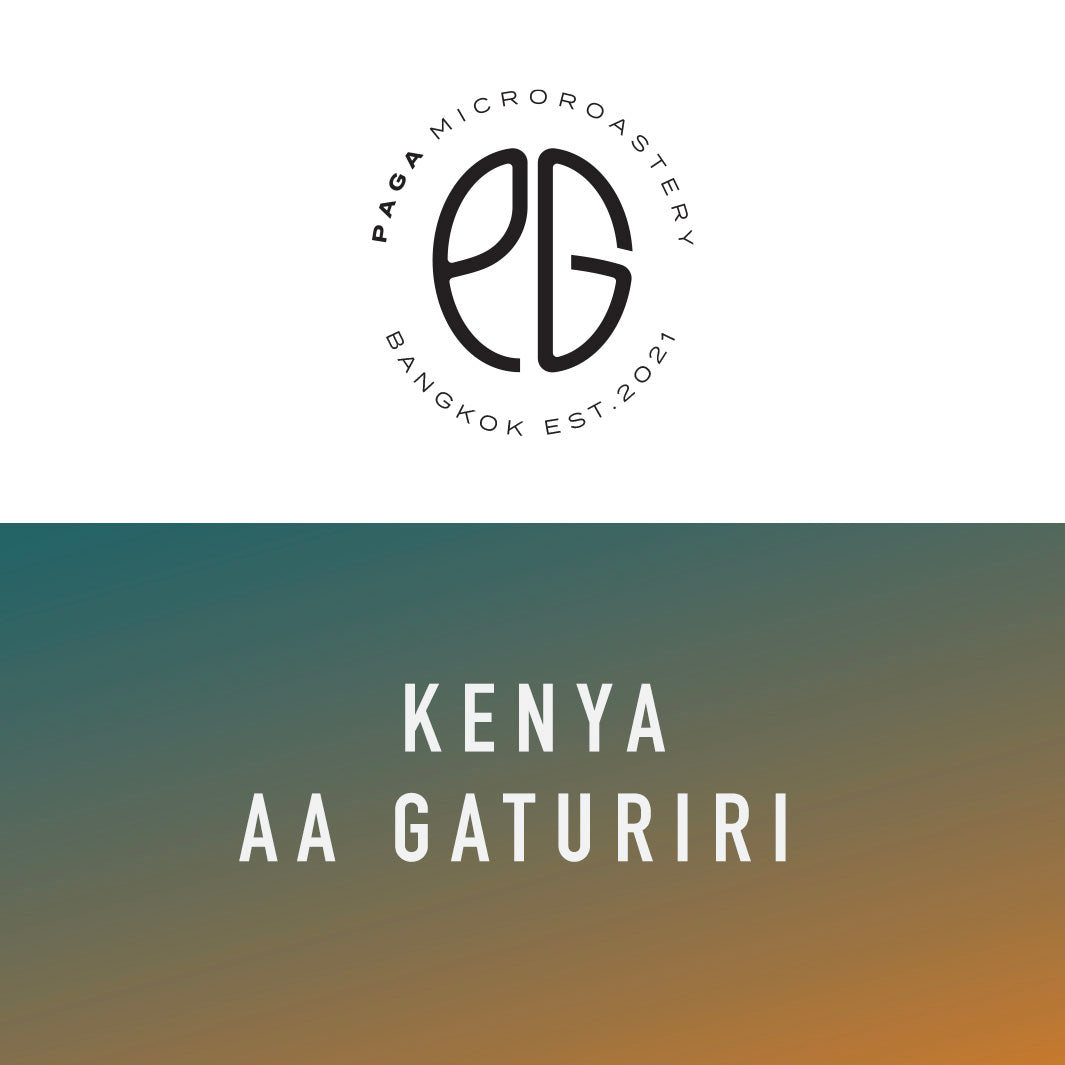 PAGA - Kenya AA Gaturiri