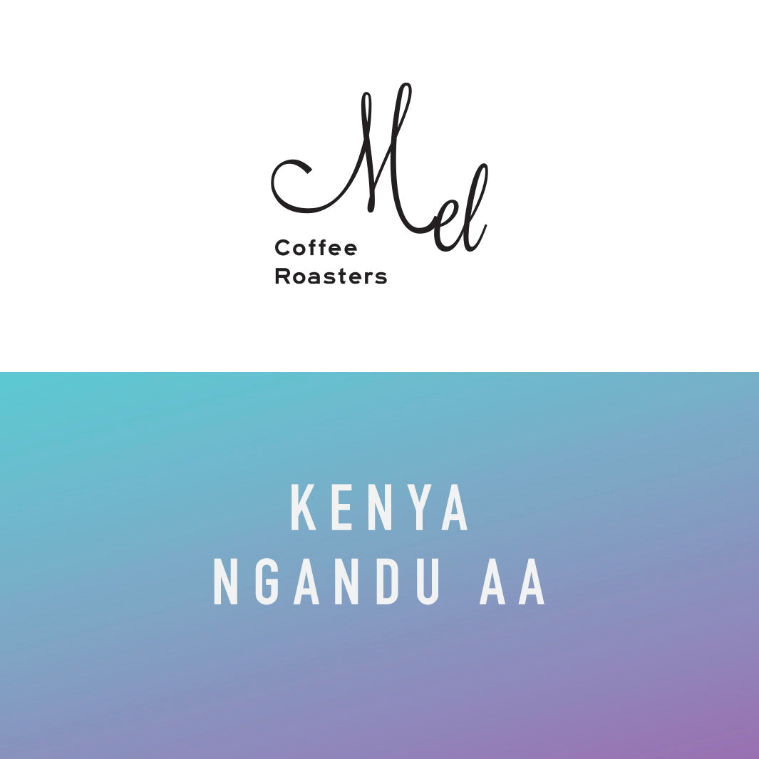 Mel Coffee - Kenya Ngandu AA