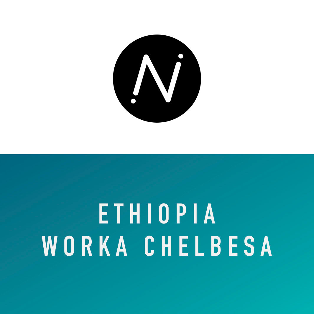 Nylon Coffee - Ethiopia Worka Celbesa